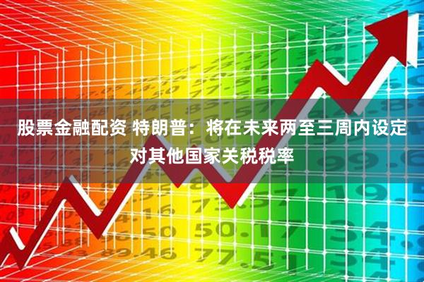 股票金融配资 特朗普：将在未来两至三周内设定对其他国家关税税率
