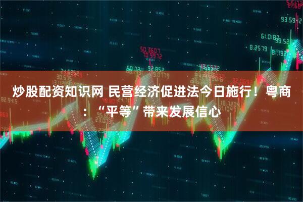 炒股配资知识网 民营经济促进法今日施行！粤商：“平等”带来发展信心