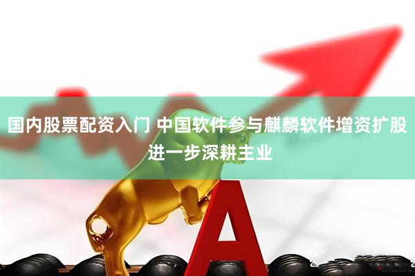 国内股票配资入门 中国软件参与麒麟软件增资扩股 进一步深耕主业