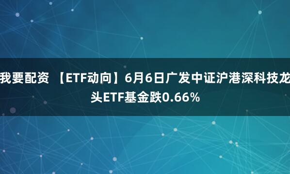 我要配资 【ETF动向】6月6日广发中证沪港深科技龙头ETF基金跌0.66%